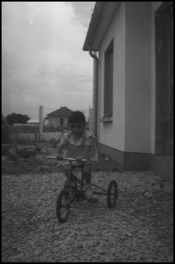 bernadette