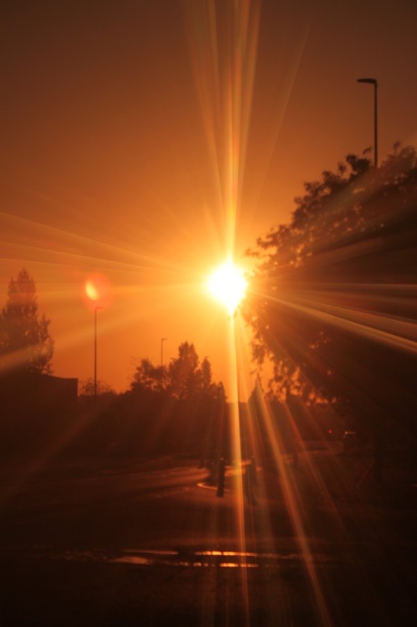 Eclipse 20260 