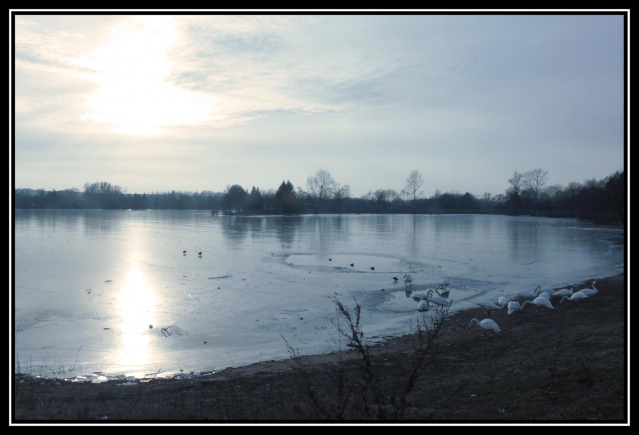 vinneuf